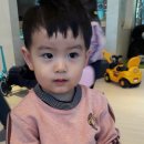 슈슈봉봉 이미지