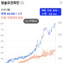 분당-10 이미지