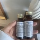 신혼여행 6탄_거북이 스노쿨링 멀미약, 이야스메 무스비, 돌고래본 후기 (포에버 하와이 카페로 예약)