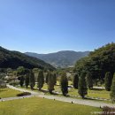 지리산유아숲체험원 Daum카페