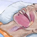 서초성모이비인후과의원 이미지