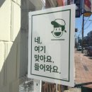 모찌네식탁 이미지