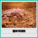 키즈웨일 아카데미(주) | 식사동 아이들과 가볼만한 곳｜현대백화점 킨텍스점 랩아카데미 팝업 후기