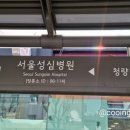 스테프핫도그 시립대점 이미지