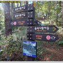 숲속나들이길 이미지