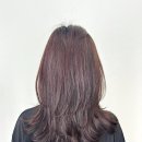 다루다미용실