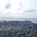 애월과 한림사이 이미지