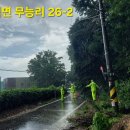 대덕면 / 전도목 및 토사붕괴지역 안전점검 상황보고 이미지