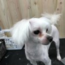 프렌드샾 이미지