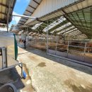 대흥축사 이미지