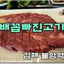 부산 맛집 기행 소식. 이미지