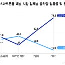 패널