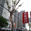 부동산포럼공인중개사사무소 이미지