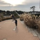 서해파트너스 이미지