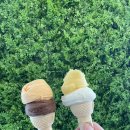 어부지리복어 | 첫 대구여행 _ 1박2일 대린이! _ 대구콩국, 네이처파크, 어부지리복어, 랜디스도넛, 갈비탕집, 멜팅구스토