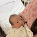 더미즈병원 | 더미즈병원 제왕절개 수술 및 입원 후기 38주3일차 출산기록 (병원비, 수술 및 회복과정 자세히)