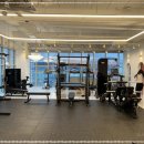 로얄바디짐 이미지