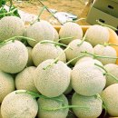 덕현농장 이미지