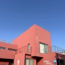퀸 | 제주 숙소 추천 세화비치스테이 제주 게스트하우스 퀸베드룸 숙박 후기