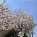 안중롯데리아 이미지