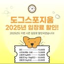 파우더-Dog | 경기도 최대 규모 강아지 테마파크 (수영장) 송추 ‘도그 스포지움’ 소.중현견 이용 후기