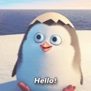 Confidence GYM 이미지