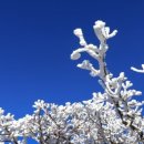 신화행정사사무소 이미지