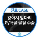 강동24시SKY 동물병원 이미지