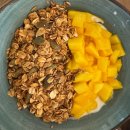 삼양부분정비 | [26/01/29/목] : 🇵🇭보홀 6일, 아침 요가와 반딧불이 투어