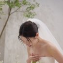 톤우드인터내셔널