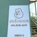 운정 숲 고양이호텔 네이버블로그