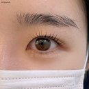 보리네일 이미지