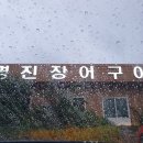 선산대로-61 이미지