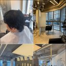 성미용실 본점 | 지금 가장 핫한 운정미용실, 트렌디한 파주운정 본점 솔직 후기