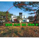 여주-0228 네이버블로그