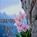 멋진하루