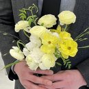 합성동114 이미지