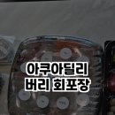아쿠아딜리버리회포장 이미지