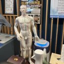 천매봉길 | 원주산후마사지로도 많이 찾는 곳, 뻔뻔한 뷰티체형 딥티슈 관리 받아본 후기