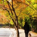 컴퓨터교실(엑셀,파워포인트) 이미지