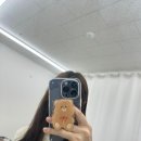 케이스몰 | 아이폰핸드폰케이스 쇼핑몰 핫티몰 그립톡세트 구입후기