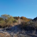 서리내농장 이미지