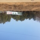 백송농장 이미지