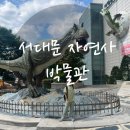 신나는 미술교실(1반) | [공지] “비 오는 날 가기 딱 좋은 실내 나들이, 서대문자연사박물관”