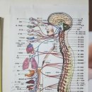 서울대입구역 마사지 북경힐링바디케어 내돈내산 최고의 마사지 후기