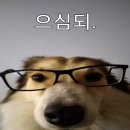 지금 이미지