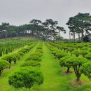 한울장묘 - 용인시 기흥구 금화로108번길 7 | 한울장묘