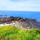 양남주상절리 이미지