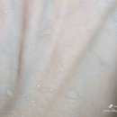 페이스홀릭 이미지
