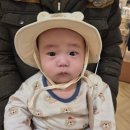목포이마트아가방 이미지